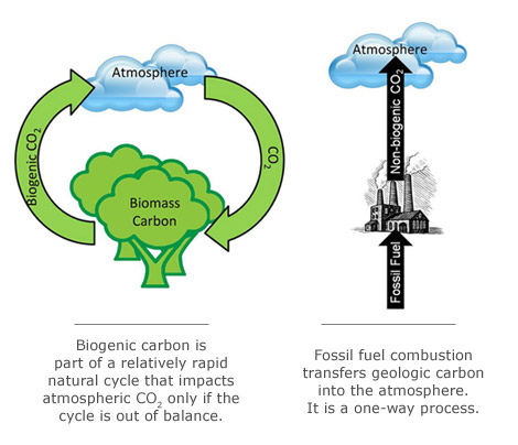 Biomass Energy