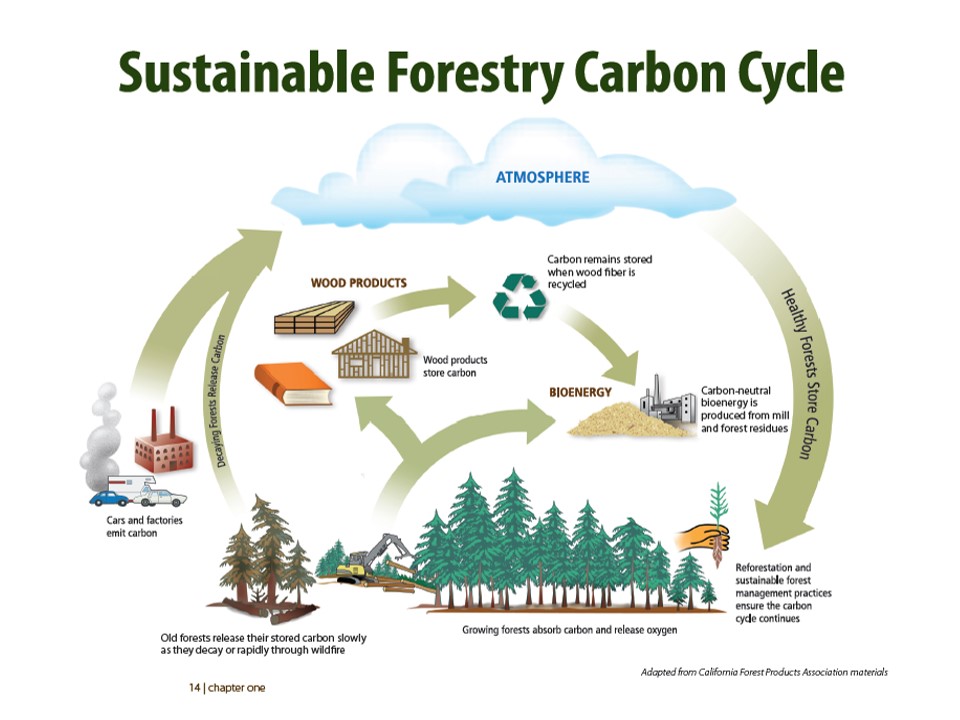 Sustainable Forestry Carbon Cycle - Washington Forest Protection Association
