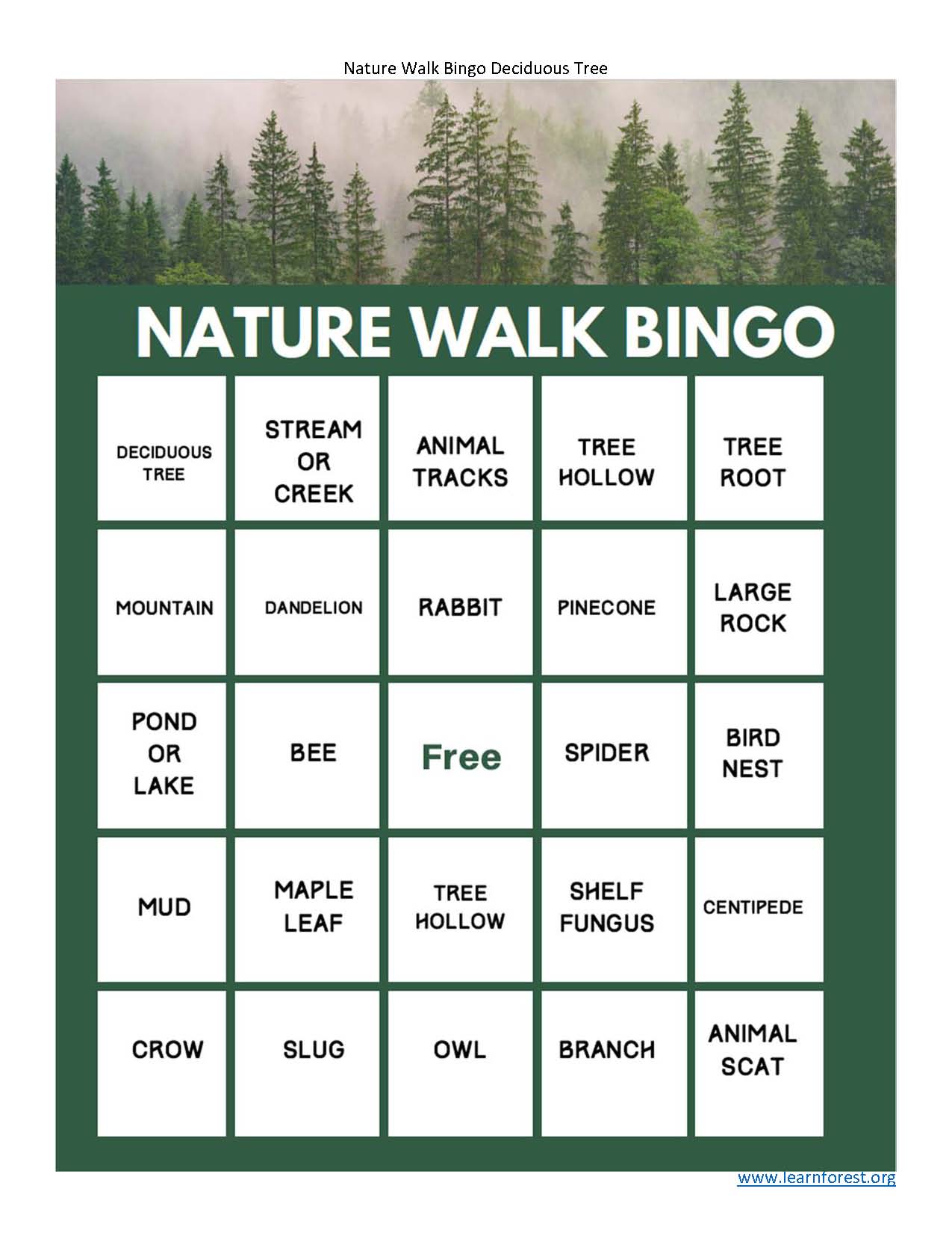 nature-walk-bingo-deciduous-tree-washington-forest-protection-association