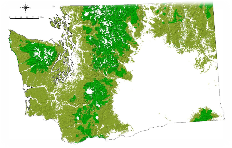 Washington State Forest Map