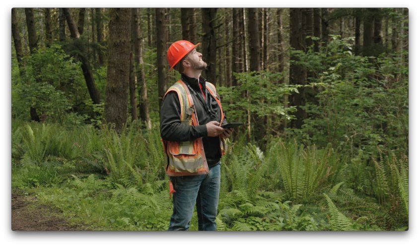 Homepage – Washington Forest Protection Association